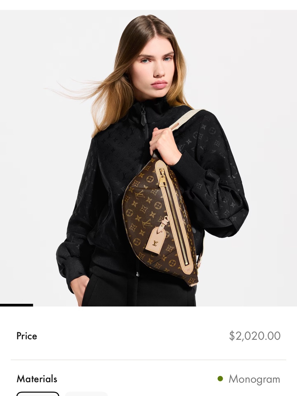 Louis Vuitton High Rise bumbag Monogram Canvas with Crossbody Adjustable Strap - Picture 10 of 10